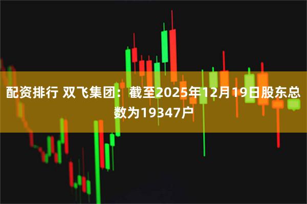 配资排行 双飞集团：截至2025年12月19日股东总数为19347户